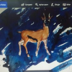 Evento-Noche-poetica-Aguas-Blancas1