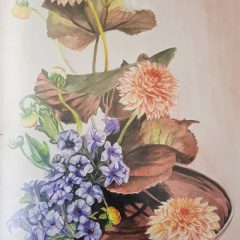 1.Realizado-cuando-nina_