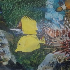 2.Realizado-cuando-nina